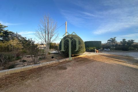 Villa i Mesagne, Brindisi, Mesagne - € 365.000 | Ref: Villa Palme - foto 21